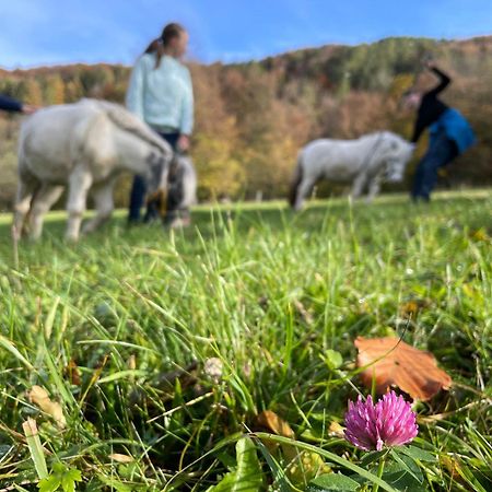 Buechlhof - App. Breitenstein Lilienfeldi járás Kültér fotó